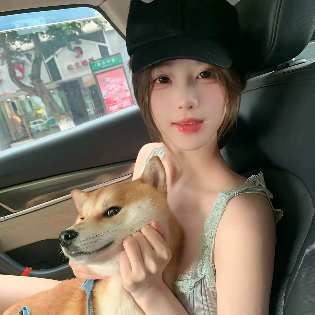 囧妈的极地任务